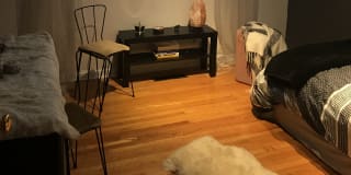 Photo of Lisa's room