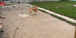 Photo of Angela Rinella's room