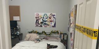 Photo of Sarah's room