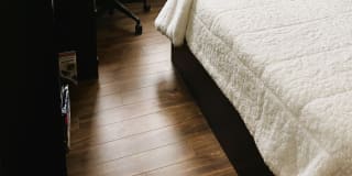 Photo of Alessandra delgado's room