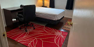 Photo of Saru's room