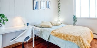 Photo of Harrington Housing's room