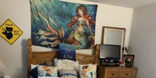 Photo of Krista Lili's room