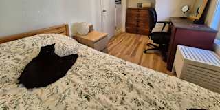 Photo of Jordie's room