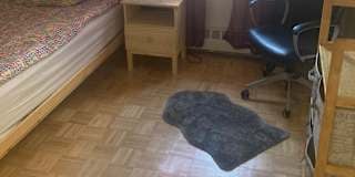 Photo of Daniela's room