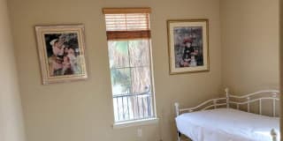 Photo of Fleur Rodriguez's room