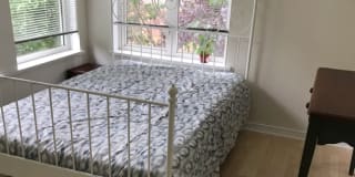 Photo of Kitsyard's room