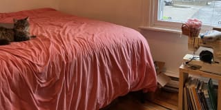 Photo of Elise's room