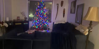 Photo of Pamela's room