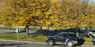 Miss Renee K. Taylor-BA-French's room