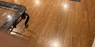 Photo of Marisela loncaric's room