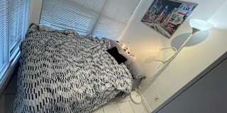 Photo of Welcome Travel Accomodation's room