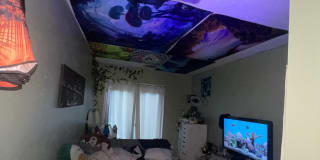 Photo of Alyssa's room
