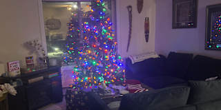 Photo of Pamela's room