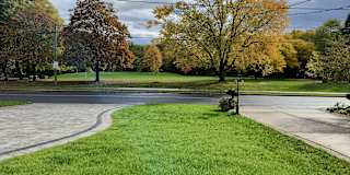 Photo of Goli's room