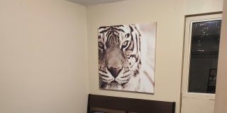 Photo of Anthony's room