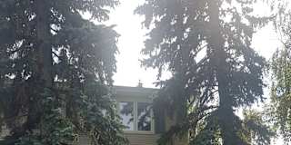 Photo of Keith's room