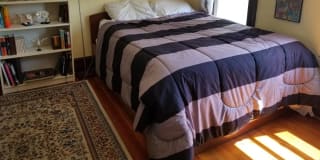 Photo of Sach's room