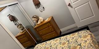 Photo of Sonia's room