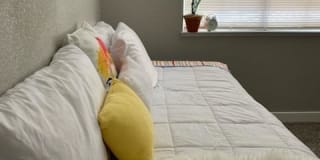 Photo of J Jones's room