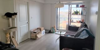 Photo of Jesse's room