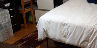 Photo of Sally's room