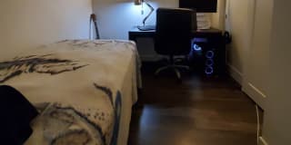 Photo of Mylo's room