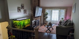 Photo of Alexander's room