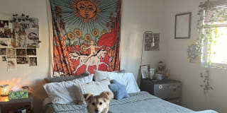 Photo of Carmen's room