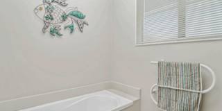 Photo of Ann Jose's room