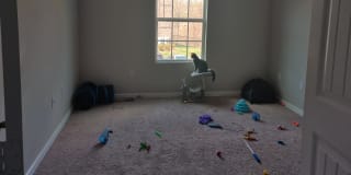 Photo of rue's room