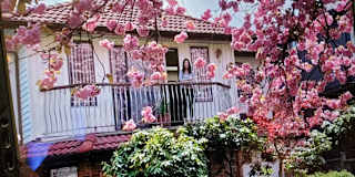 Photo of Danielle's room