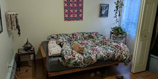 Photo of Eleri Glass's room