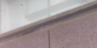 Photo of Mahesh R's room
