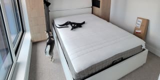 Photo of Chester's room