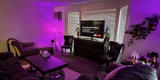 Photo of Amir's room