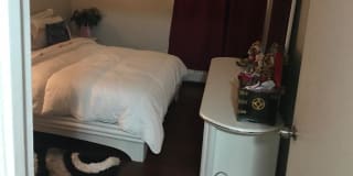 Photo of Wisdom's room