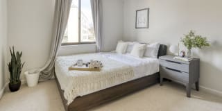 Photo of Sam June's room