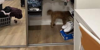 Photo of Briana's room