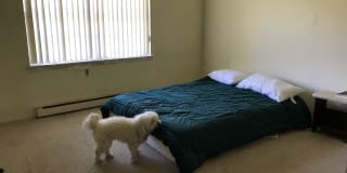 Photo of Teresa's room