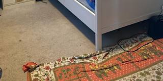 Photo of rahul mehra's room