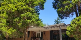 Photo of Homestay Room Available's room