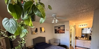 Photo of Horace's room