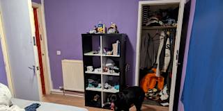 Photo of Jasper's room