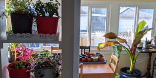 Photo of Danielle's room