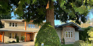 Jolanta Morawski's room