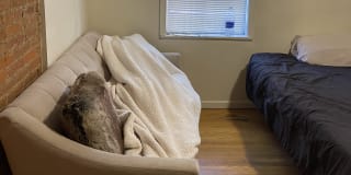 Photo of Nicholas's room