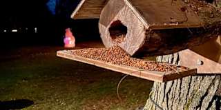 Photo of Sacha's room