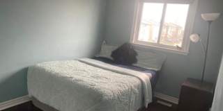 Priyanka Sisaudiya's room