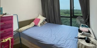 Photo of Teresa hon's room